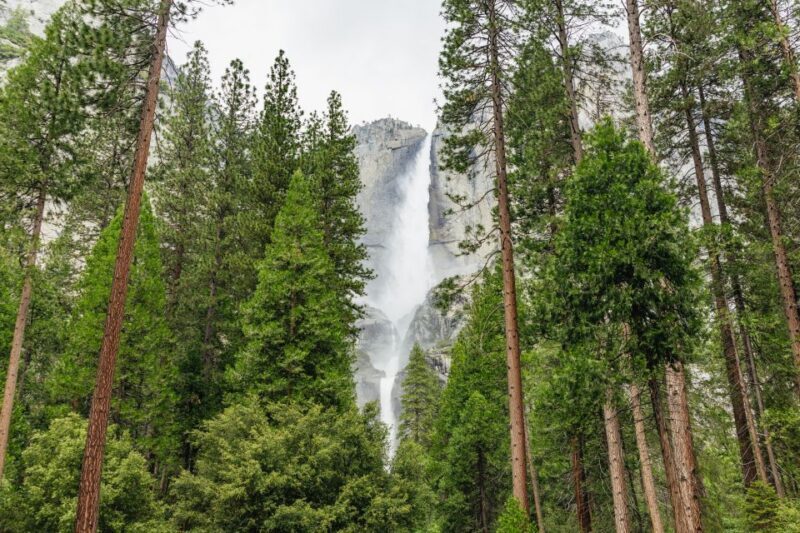 From San Francisco: Yosemite National Park Guided Day Trip - The Logistics: What You Need to Know