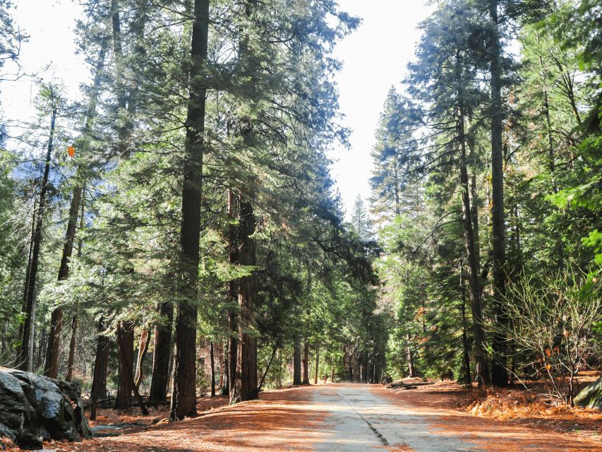 From San Francisco: Yosemite National Park Private Day Tour - Cancellation Policy