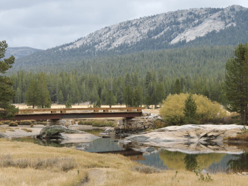 From San Francisco: Yosemite National Park Private Day Tour - Exploring Yosemite Valley