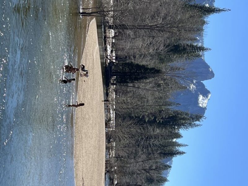 From San Francisco: Yosemite Private Full-Day Trip - The Value of a Private Experience