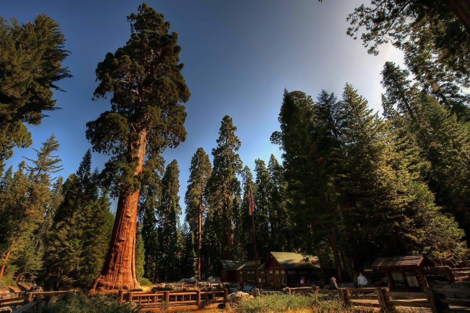 From San Francisco: Yosemite Private Full-Day Trip - Directions for Booking