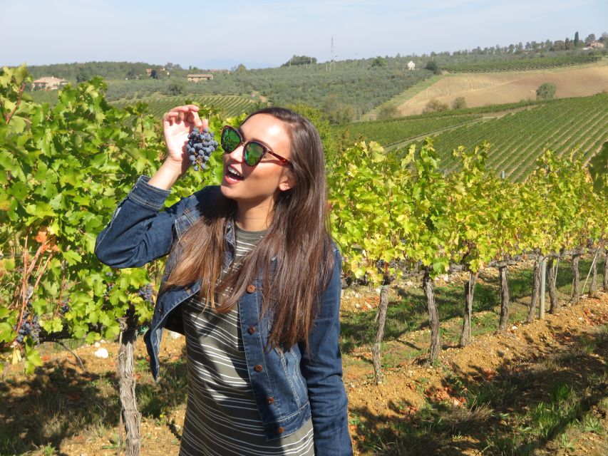 From San Gimignano: Half-Day Chianti Wine Tour - Key Points