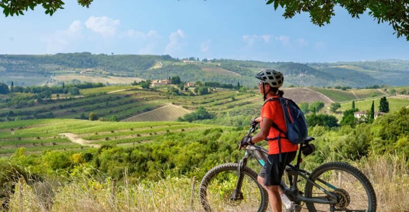 From San Gimignano to Siena E-BIKE tour+Transfer service - Visiting Volterra and Its Roman Theater