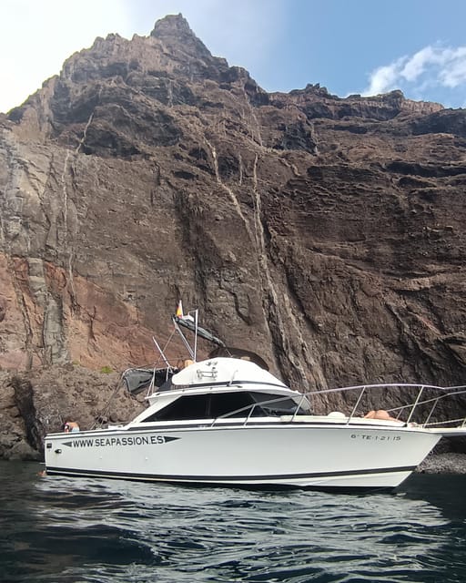 From San Juan Beach : Marine Life Cruise - Onboard Amenities and Inclusions