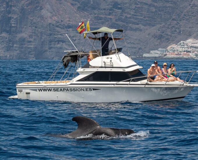 From San Juan Beach : Marine Life Cruise - Exploring the Calderón Tropical Area