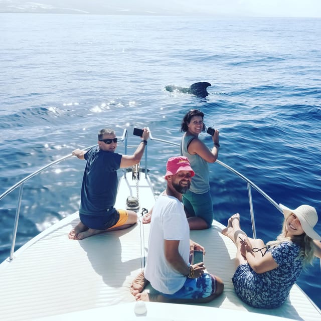 From San Juan Beach : Marine Life Cruise - Frequently Asked Questions