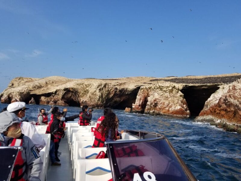 From San Martin Port: 2-Hour Ballestas Island - Itinerary Details