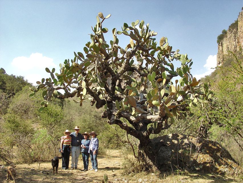 From San Miguel De Allende: Hiking in the Canyon With Lunch - Enjoying the Homemade Ranch-Style Meal
