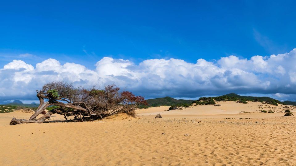 From San Nicolò D'arcidano: Costa Verde Off-Road Trip - Key Points