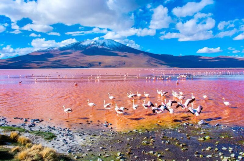 From San Pedro De Atacama: Uyuni Salt Flat 3-Days - Day 3: Final Adventures