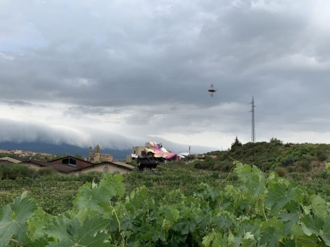 From San Sebastian: Rioja Wine Tour - Traditional Countryside Dining