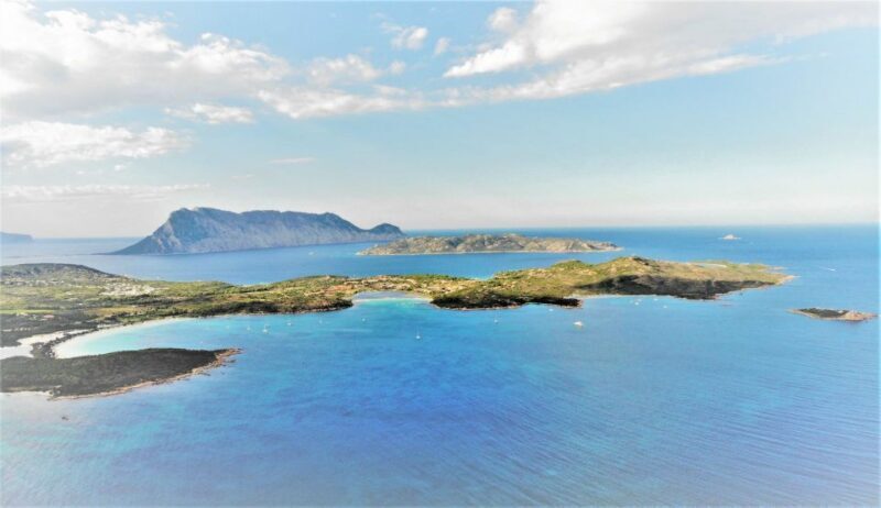 From San Teodoro: diving for experts in Tavolara and Molara - An Inside Look at the Experience