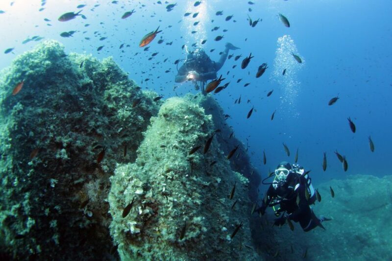 From San Teodoro: diving for experts in Tavolara and Molara - Why This Tour Stands Out