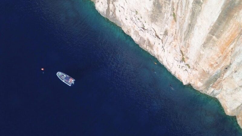 From San Teodoro: snorkeling in Tavolara and Molara - Authentic Marine Encounters and Visitor Feedback