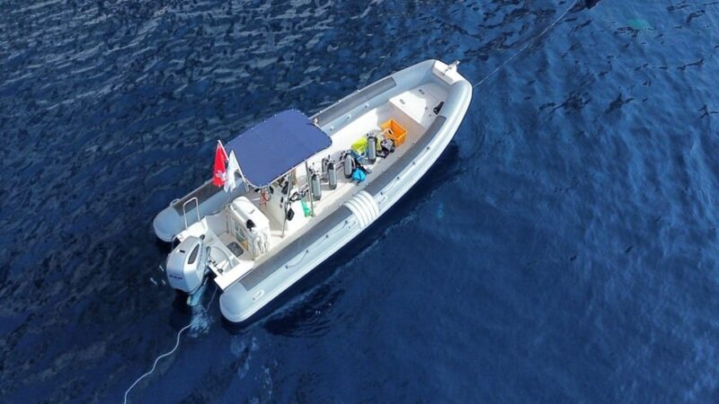 From San Teodoro: snorkeling in Tavolara and Molara - Perfect for Specific Travelers