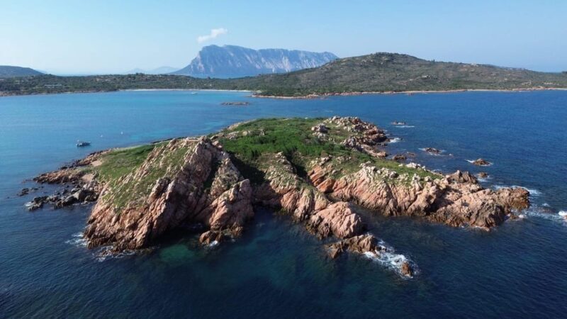 From San Teodoro: snorkeling in Tavolara and Molara - FAQ: Practical Questions About the Snorkeling Tour