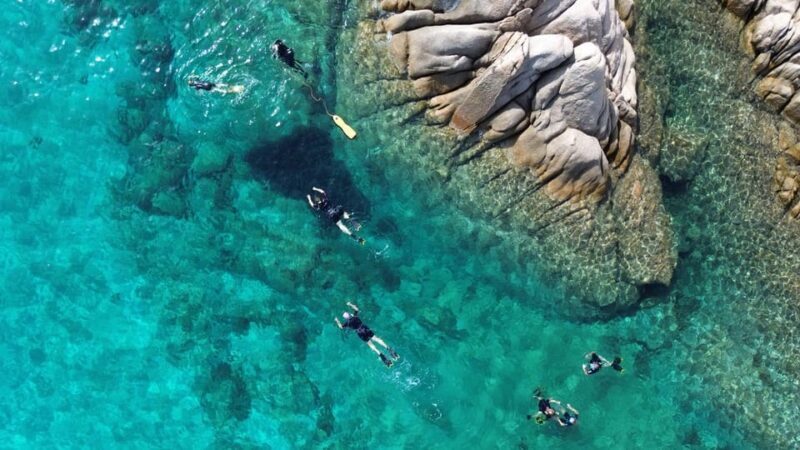 From San Teodoro: snorkeling in Tavolara and Molara - Final Words