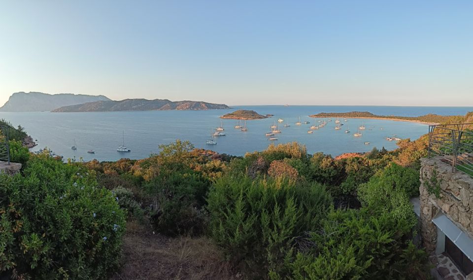From San Teodoro: Tavolara Archipelago Mini Tour - Tour Overview