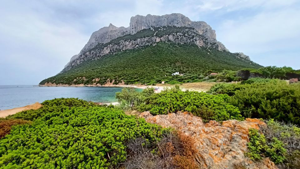 From San Teodoro: Tavolara Archipelago Mini Tour - Inclusions and Exclusions