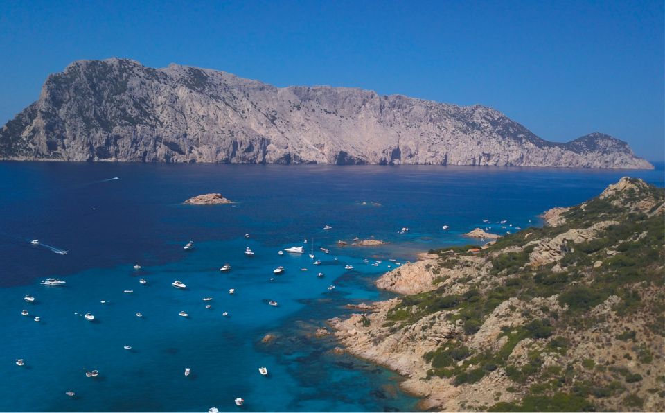 From San Teodoro: Tour to Tavolara, Molara, and Aperitif - Customer Feedback