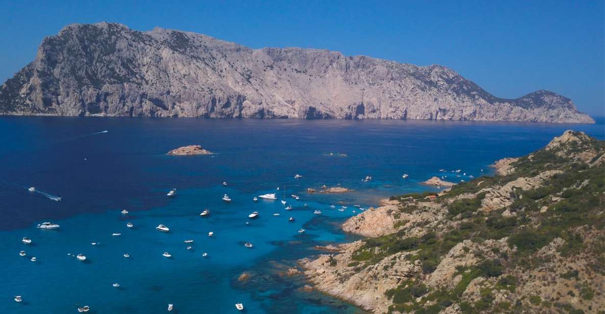 From San Teodoro: Tour to Tavolara, Molara, and Aperitif - What to Bring