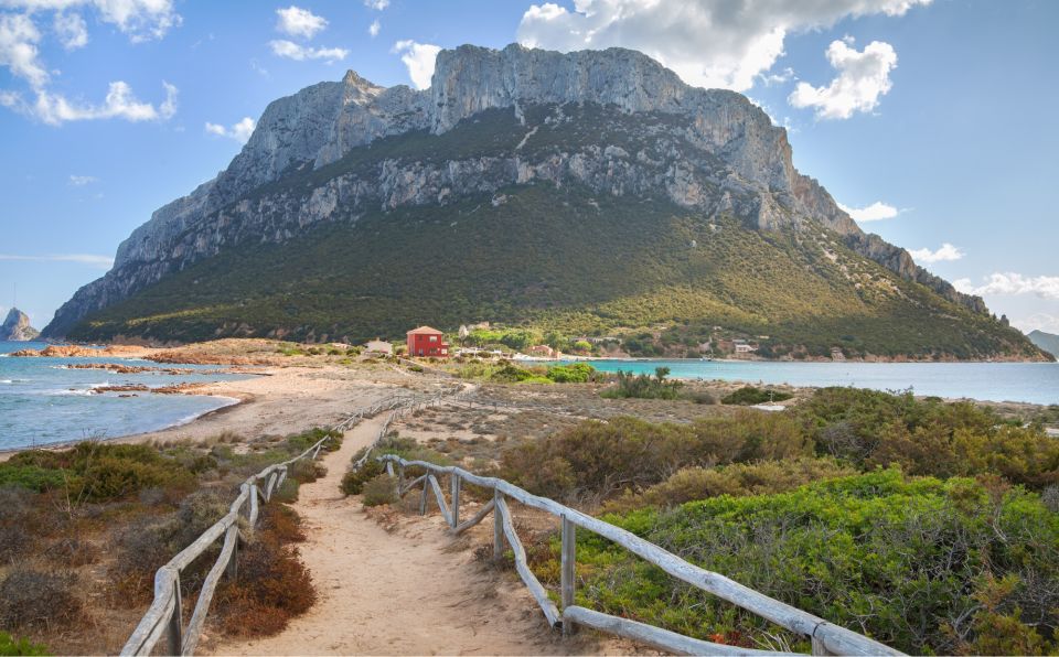 From San Teodoro: Tour to Tavolara, Molara, and Aperitif - Booking Information