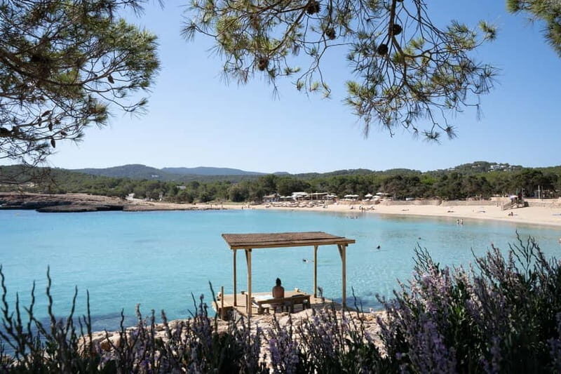 From Sant Antoni: round trip by boat to Cala Conta or Cala Bassa - What’s Included and What to Expect