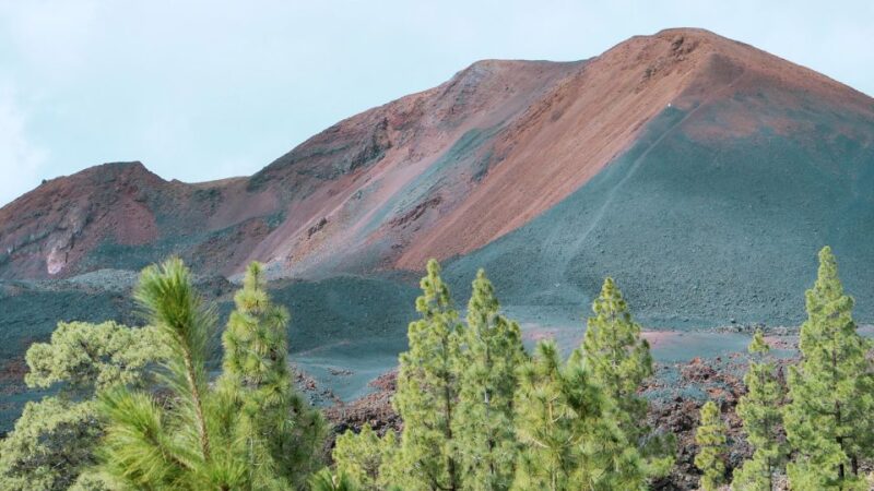 From Santa Cruz: Teide Volcano, Icod, & Garachico Tour - Customer Reviews