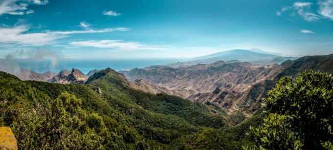 From Santa Cruz: Teide Volcano, Icod, & Garachico Tour - Visiting the Drago Milenario in Icod De Los Vinos