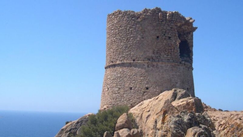 From Santa Guilia GRAND SUD Cruise and Snorkeling Day Trip - Pricing and Booking Details