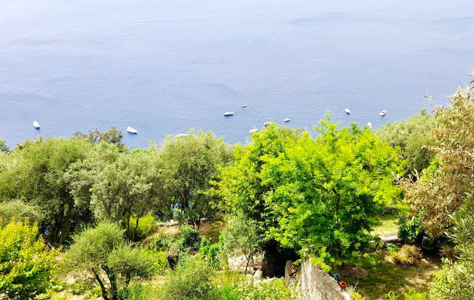 From Santa Margherita: Ebike Tour Along the Italian Riviera - Duration and Departure/Arrival Details