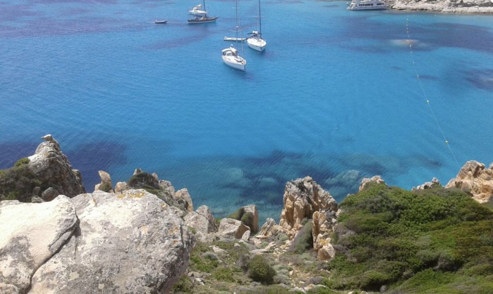 From Santa Teresa Gallura: La Maddalena Archipelago Cruise - Customer Ratings and Reviews