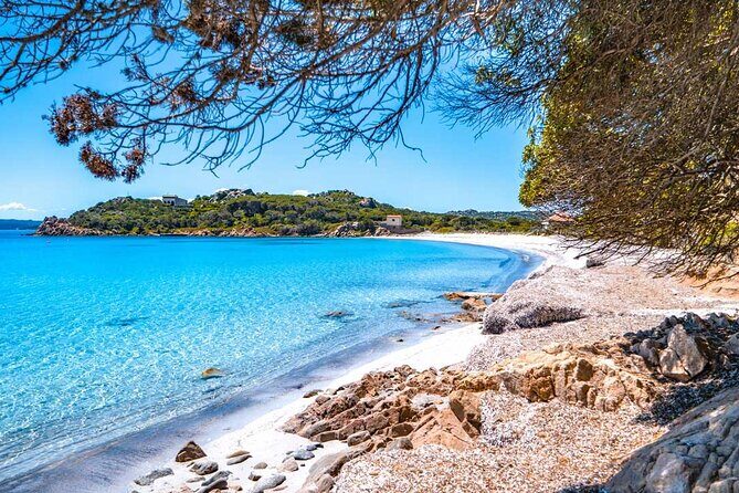 From Santa Teresa Motorboat Tour to La Maddalena Archipelago - Who Is This Tour Best For?  