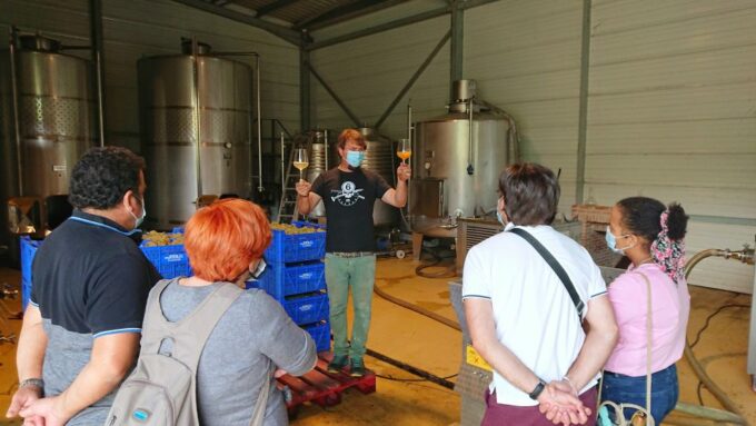 From Santander: Gastronomic Tour - Santoña: Anchovy Manufacturing Hub
