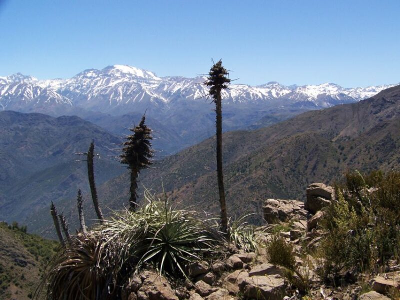 From Santiago: Half-Day Hike in the Andes Mountains - Highlights and Views