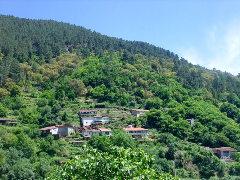 From Santiago: Ribeira Sacra & Sil River Canyon Boat Tour - Discovering Allariz: Medieval Charm and Local Life