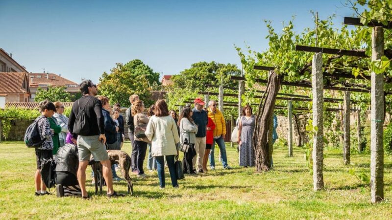 From Santiago: Tour to Rias Baixas With Boat Trip and Winery - Combarro: Galician Coastal Village