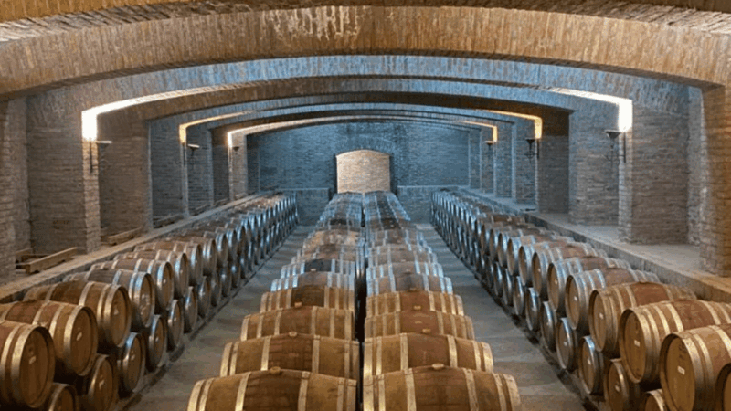 From Santiago: Undurraga Winery Tour With Tasting - Inclusions of the Tour
