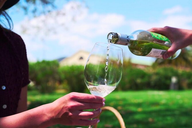 From Santiago: Valparaíso, Viña Del Mar and Neruda Museum - Visiting Viña Del Mar