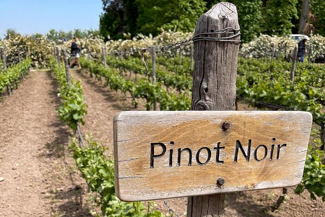 From Santiago: Viña Concha Y Toro Traditional Half-Day Tour - Guided Tour Highlights