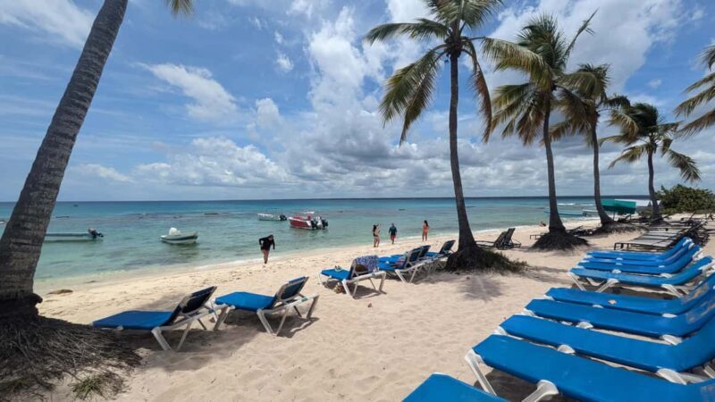 From Santo Domingo: Catalina Island Day Tour - The Boat Ride and Scenic Views