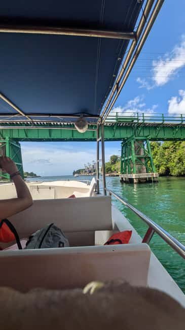 From Santo Domingo: Catalina Island Day Tour - Snorkeling Experience: Marine Life and Reefs