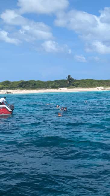 From Santo Domingo: Catalina Island Day Tour - Return Journey and End of Day