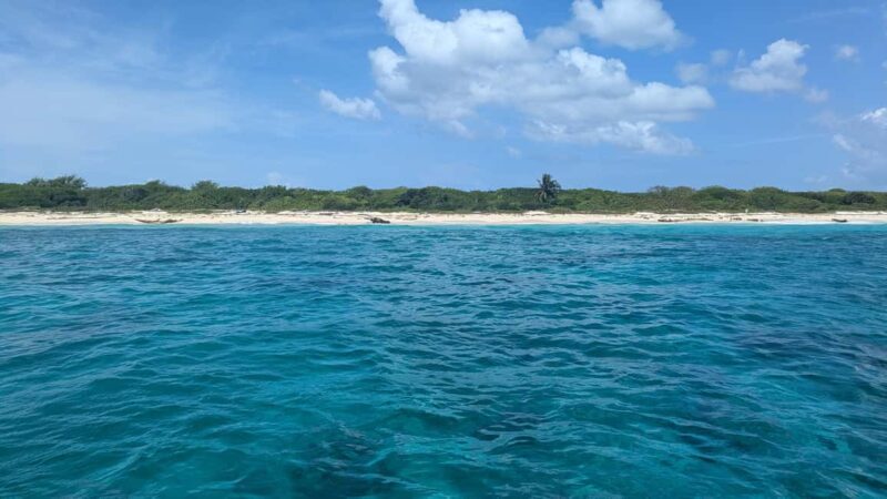 From Santo Domingo: Catalina Island Day Tour - Authentic Experiences and Real Feedback