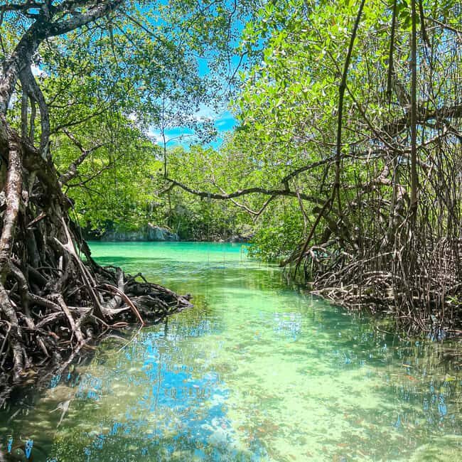 From Santo Domingo: Enjoy the Magical Places of Rio San Juan - FAQ