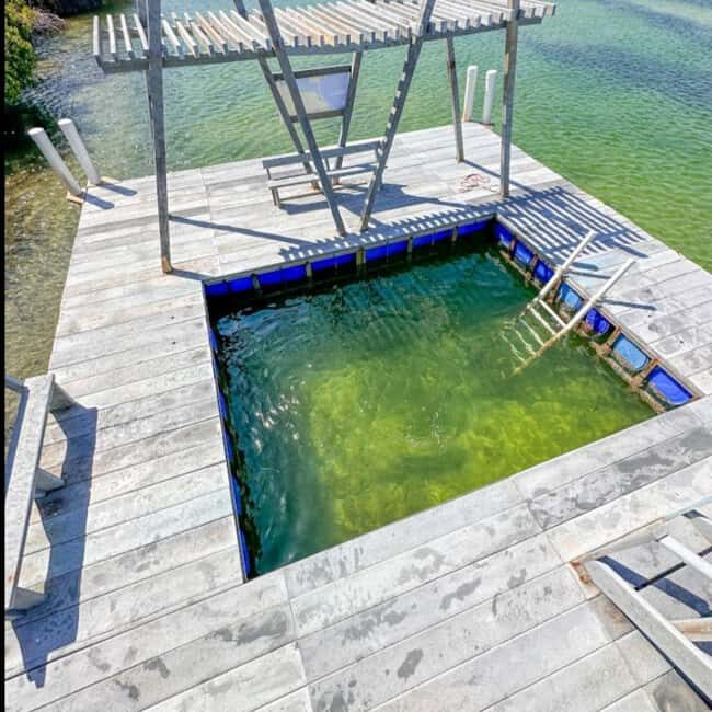 From Santo Domingo: Island Cabra & Grand Gossier Sandbank - Exploring the Monte Cristi Area: What to Expect