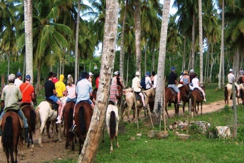 From Santo Domingo: Samaná Peninsula Day Trip with Lunch - FAQ