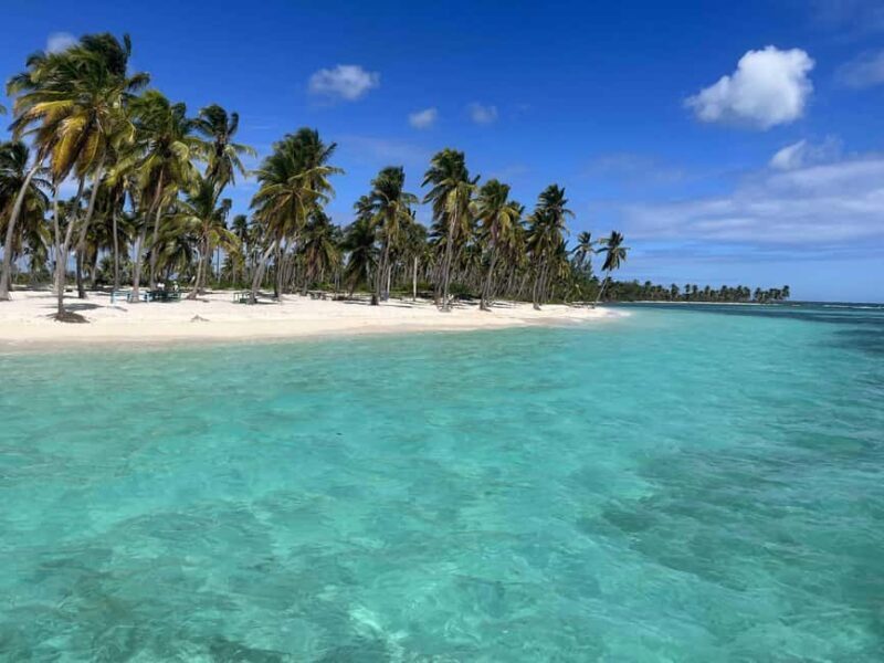 From Santo Domingo: Saona Island Day Trip with Lunch - Who Will Enjoy This Tour?