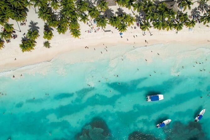 From Santo Domingo Saona Island Food And Drink Catamaran Vip - Key Points