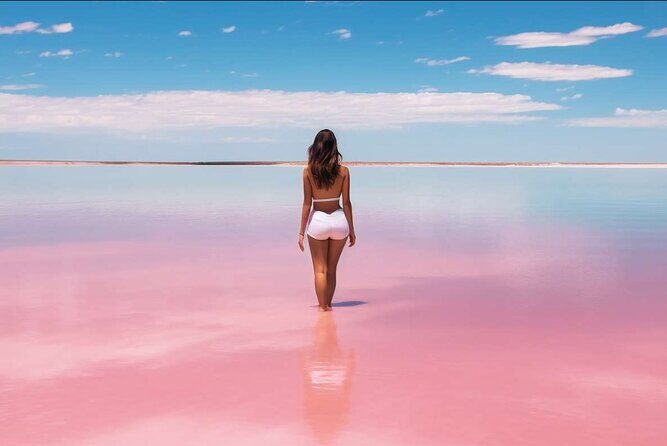 From Santo Domingo Saona Island Food And Drink Catamaran Vip - Final Thoughts